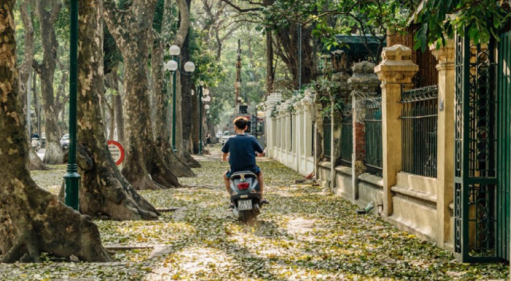 THERE IS A PEACEFUL AUTUMN IN HANOI