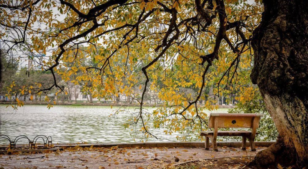 7 experiences make your Hanoi trip in autumn golden