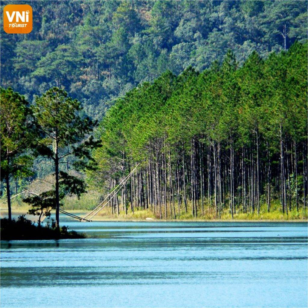 TUYEN-LAM-LAKE-DA-LAT-TRAVEL-EXPERIENCE-07