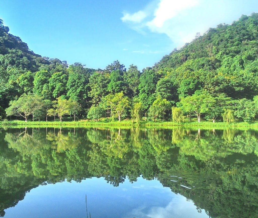 cuc-phuong-national-park-vietnam