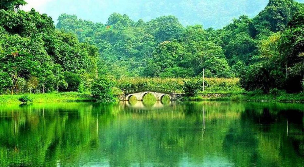 cuc-phuong-national-park-vietnam