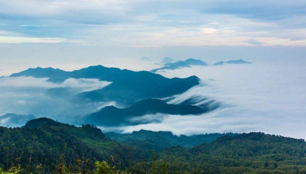 cuc-phuong-national-park-vietnam