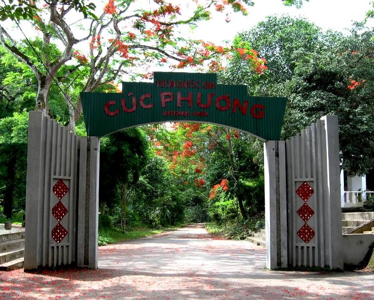 cuc-phuong-national-park-vietnam