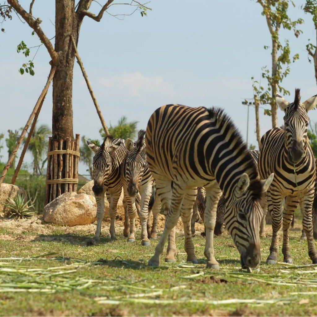 River-Safari-Nature-Reserve-at-Vinpearl-Land-Nam-02