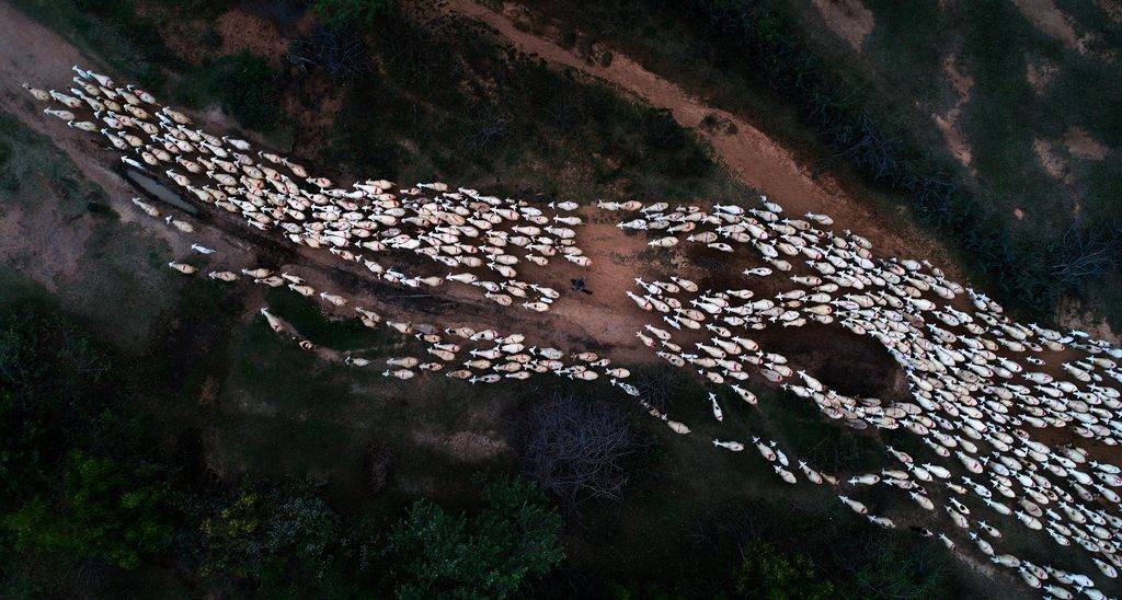 THE-LANDSCAPE-OF-VIETNAM-FROM-ABOVE-01