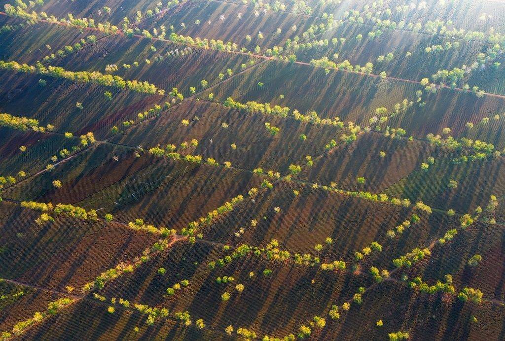 THE-LANDSCAPE-OF-VIETNAM-FROM-ABOVE-01