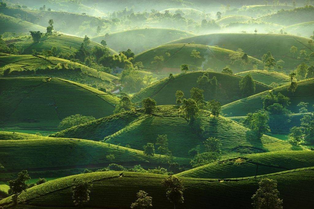 THE-LANDSCAPE-OF-VIETNAM-FROM-ABOVE-01