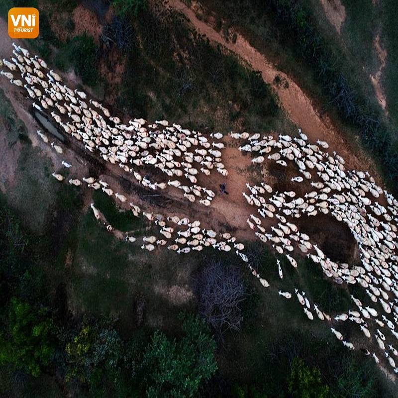 THE LANDSCAPE OF VIETNAM FROM ABOVE-2