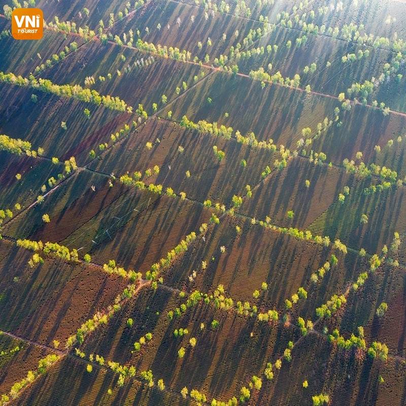 THE LANDSCAPE OF VIETNAM FROM ABOVE-3