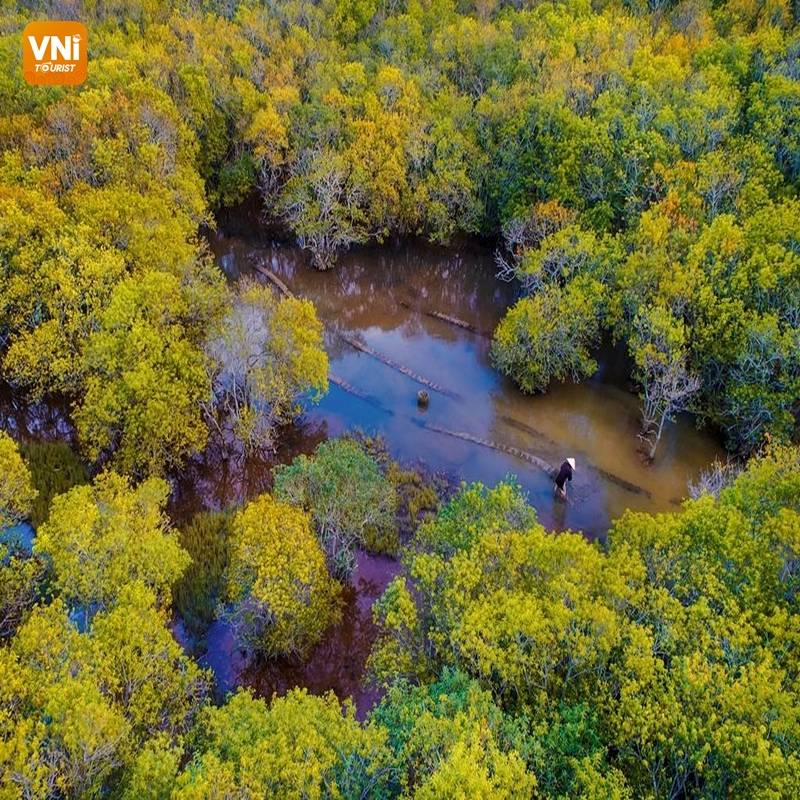 THE LANDSCAPE OF VIETNAM FROM ABOVE-6