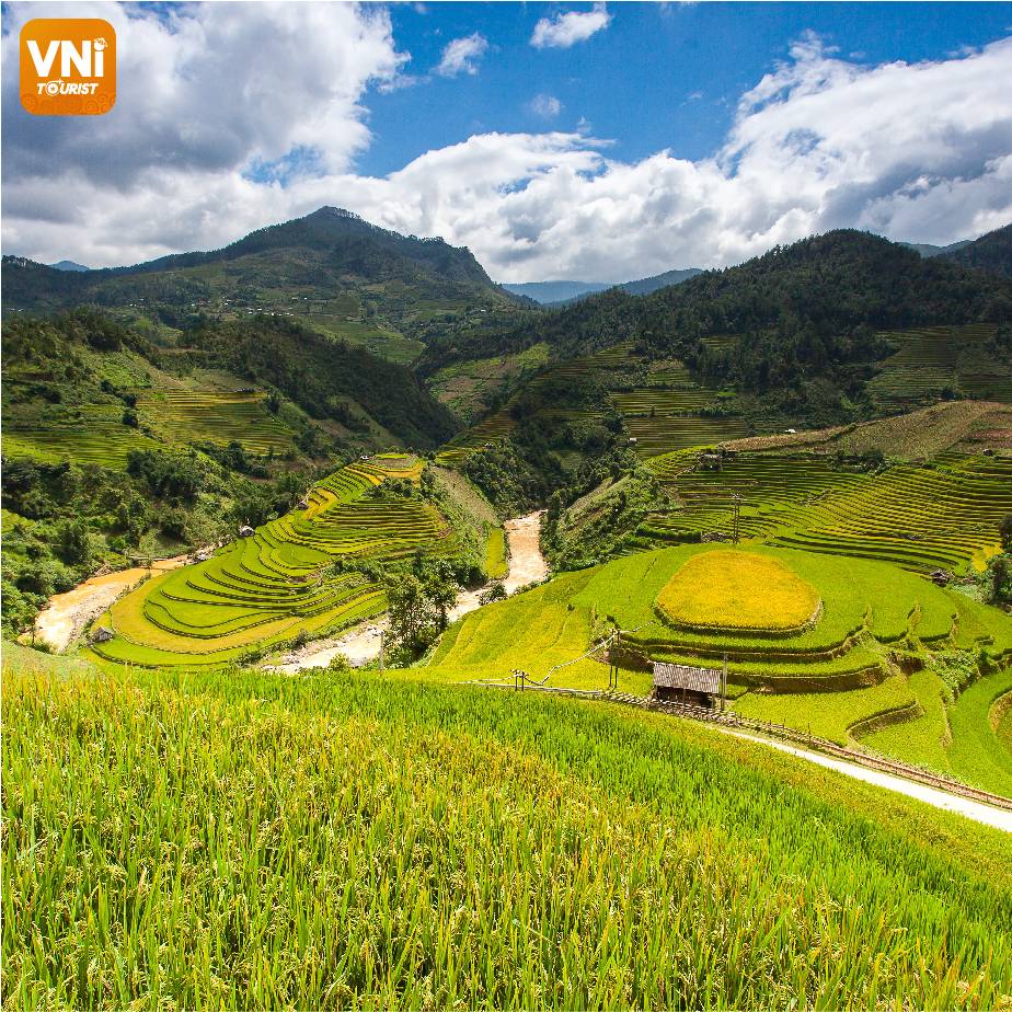 WONDERFUL-SAPA-TERRACED-FIELDS-076