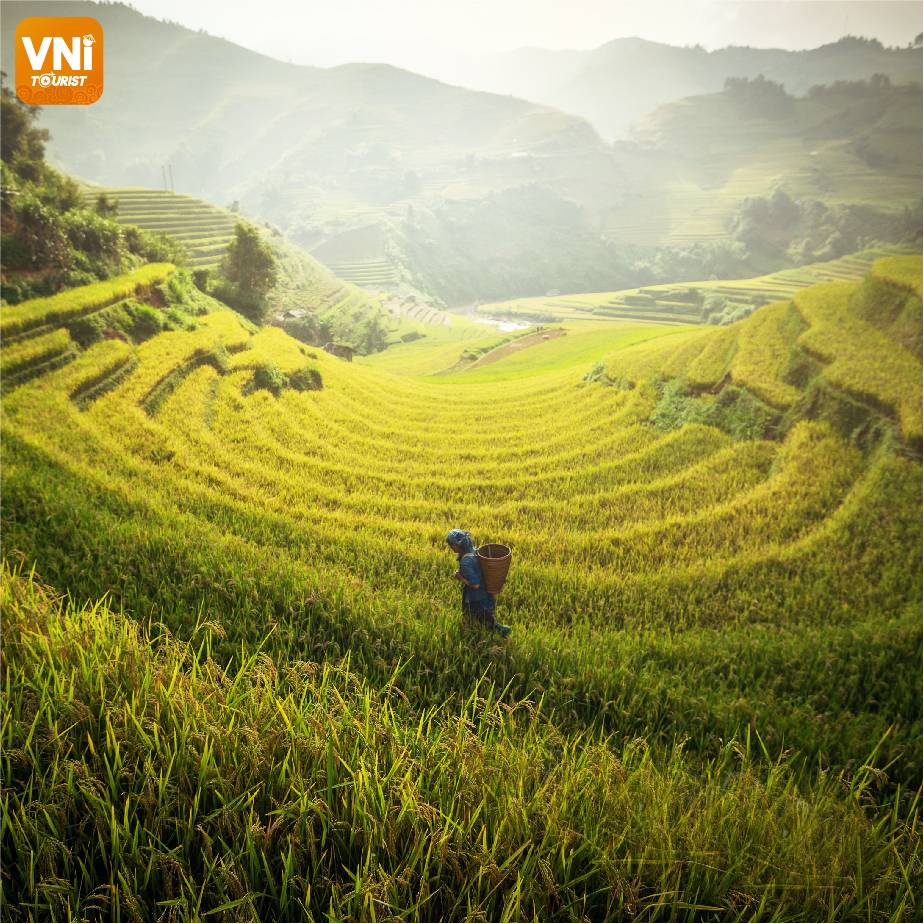 WONDERFUL-SAPA-TERRACED-FIELDS-072