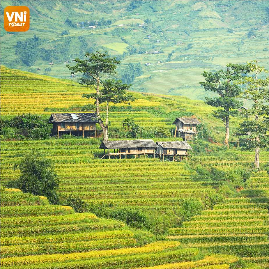 WONDERFUL-SAPA-TERRACED-FIELDS-071
