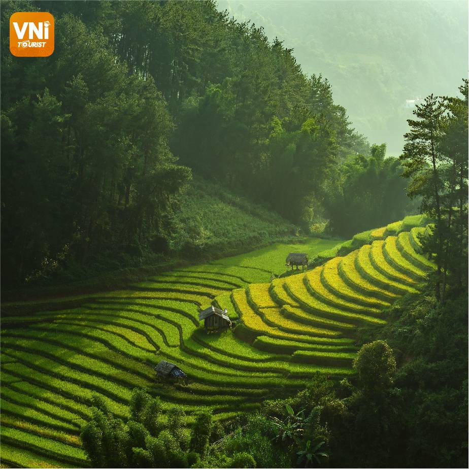 WONDERFUL-SAPA-TERRACED-FIELDS-07