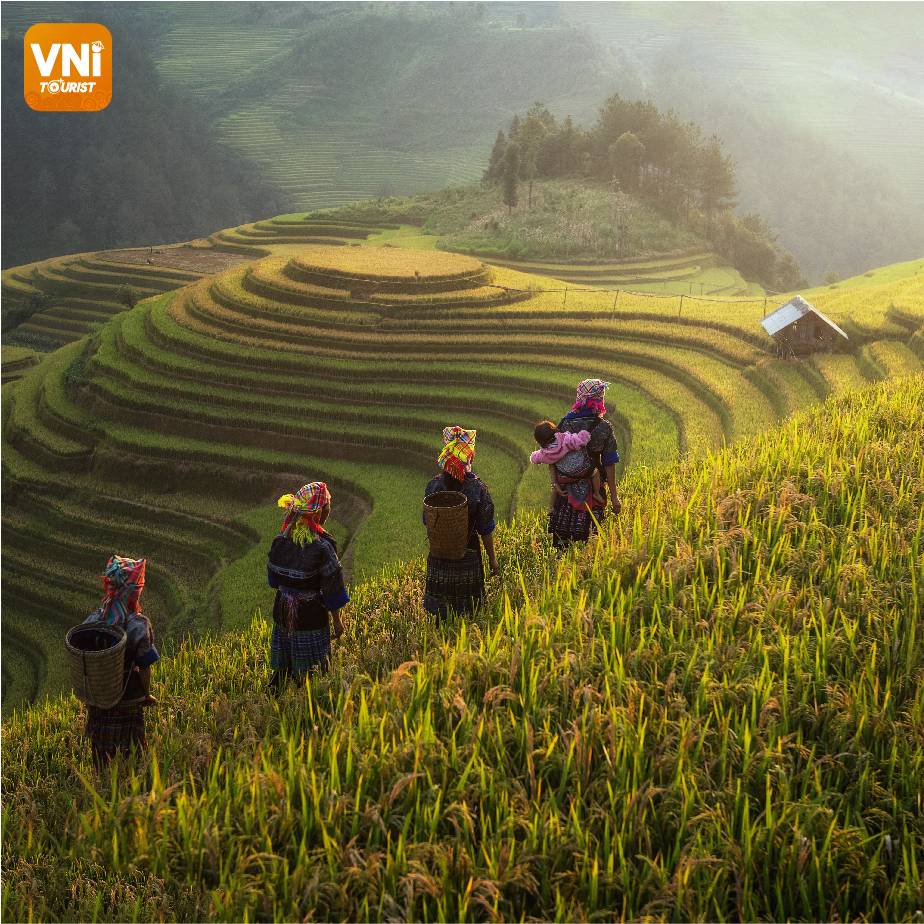 WONDERFUL-SAPA-TERRACED-FIELDS-071