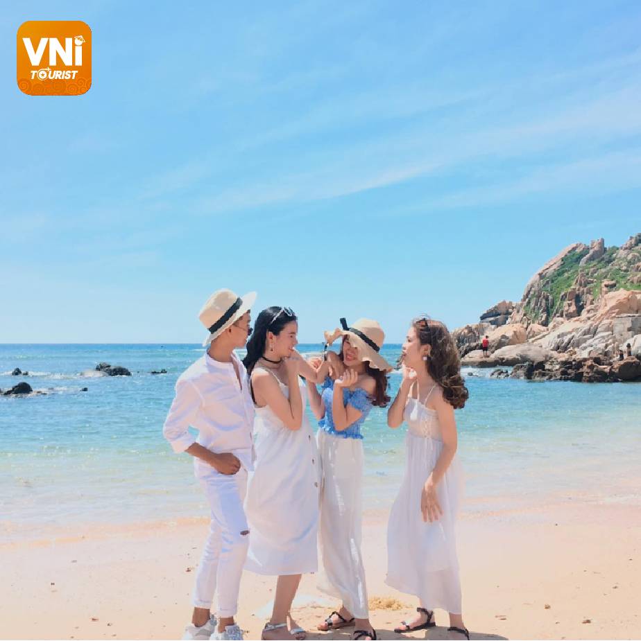 co-to-vni3