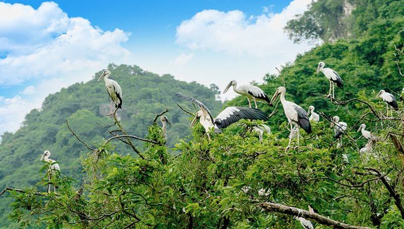 Thung-Nham-Bird-Park