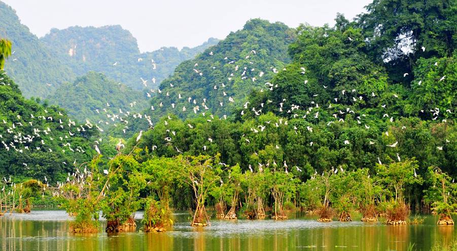 Thung-Nham-Bird-Park