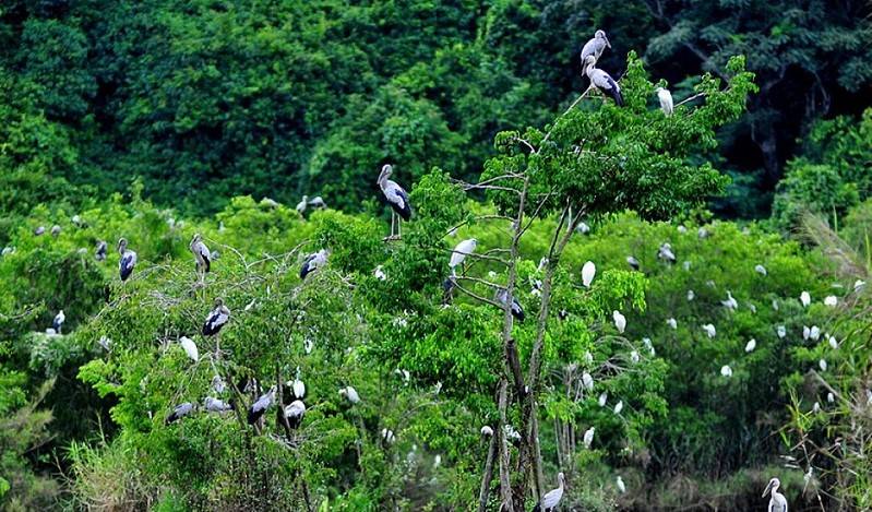 Thung-Nham-Bird-Park