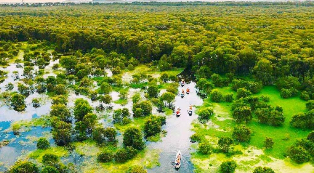 A boat trip through the long green Persian carpet – Tra Su Cajuput Forest