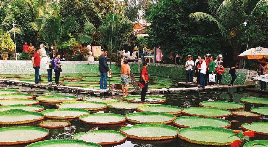 The giant lotus leaves carrying people at Phuoc Kien Pagoda