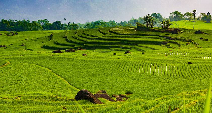 the-green-Pu-Luong-viet-nam-01