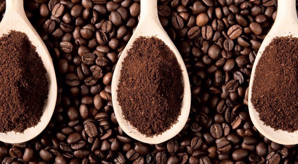 Cau Dat coffee – The best source of Arabica beans in Vietnam