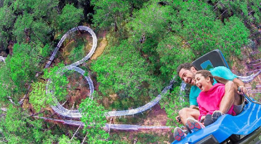 4 thrill-seeking activities to try in Datanla Waterfall