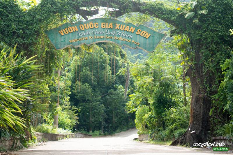 Xuan Son National Park - vnitourist.com