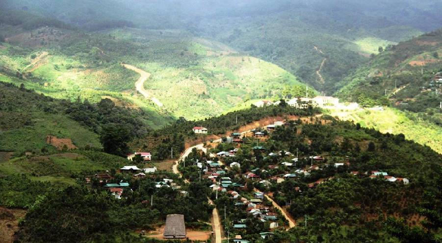 Ngoc Linh Mountain, the roof of Middle – Central Highlands with ginseng treasure