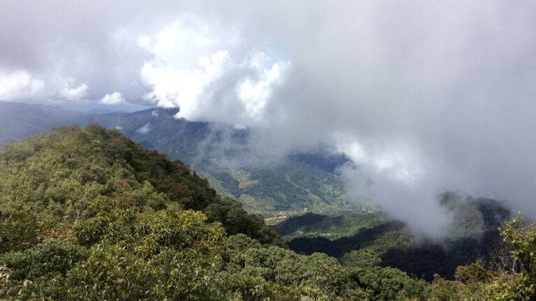 Ngoc-Linh-Mountain-Vietnam-03