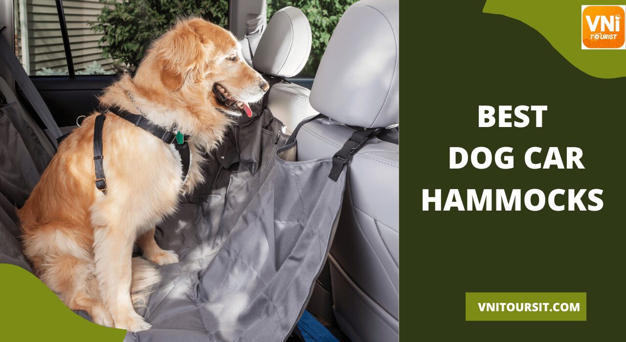 Top 3 Best Dog Car Hammocks in 2022 - Which one is for you?