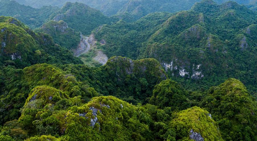 Visit Cat Ba National Park with inspiring forest-clad trekking routes