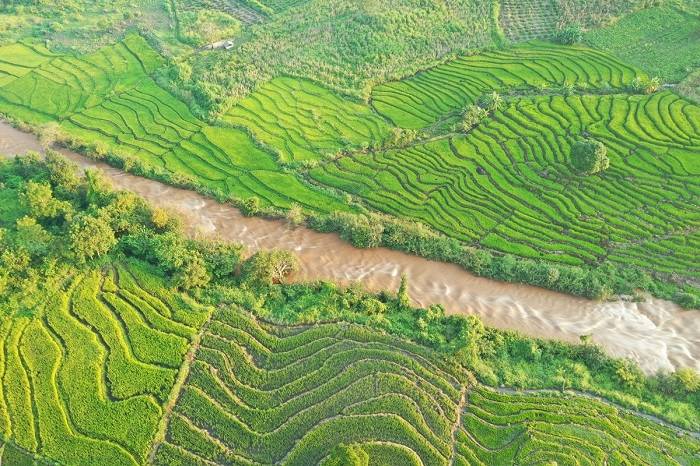 Noticeable leaf-vein-like-terraced-fields-12