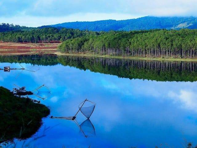 Top-notch-spots-for-bird-watching-in-Da-Lat-12