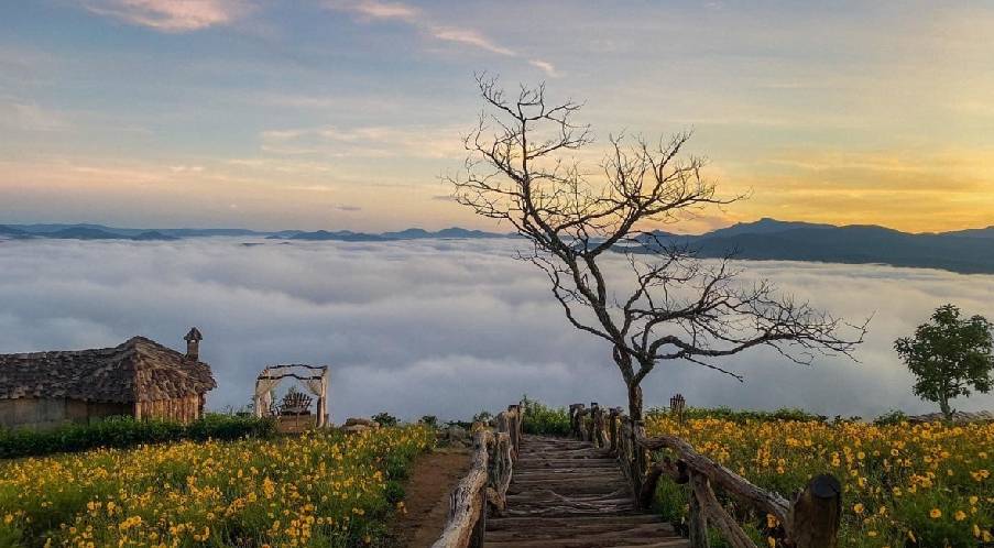 Da Lat eyes last chances for cloud hunting before winter