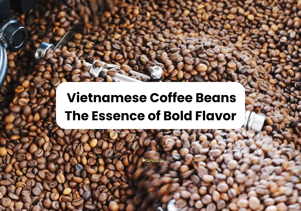 Vietnamese Coffee Beans