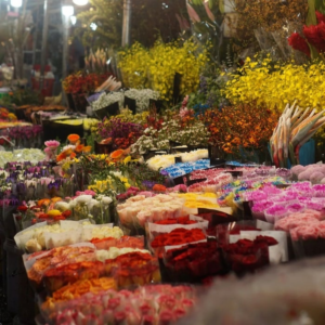 quang ba flower market - vnitourist